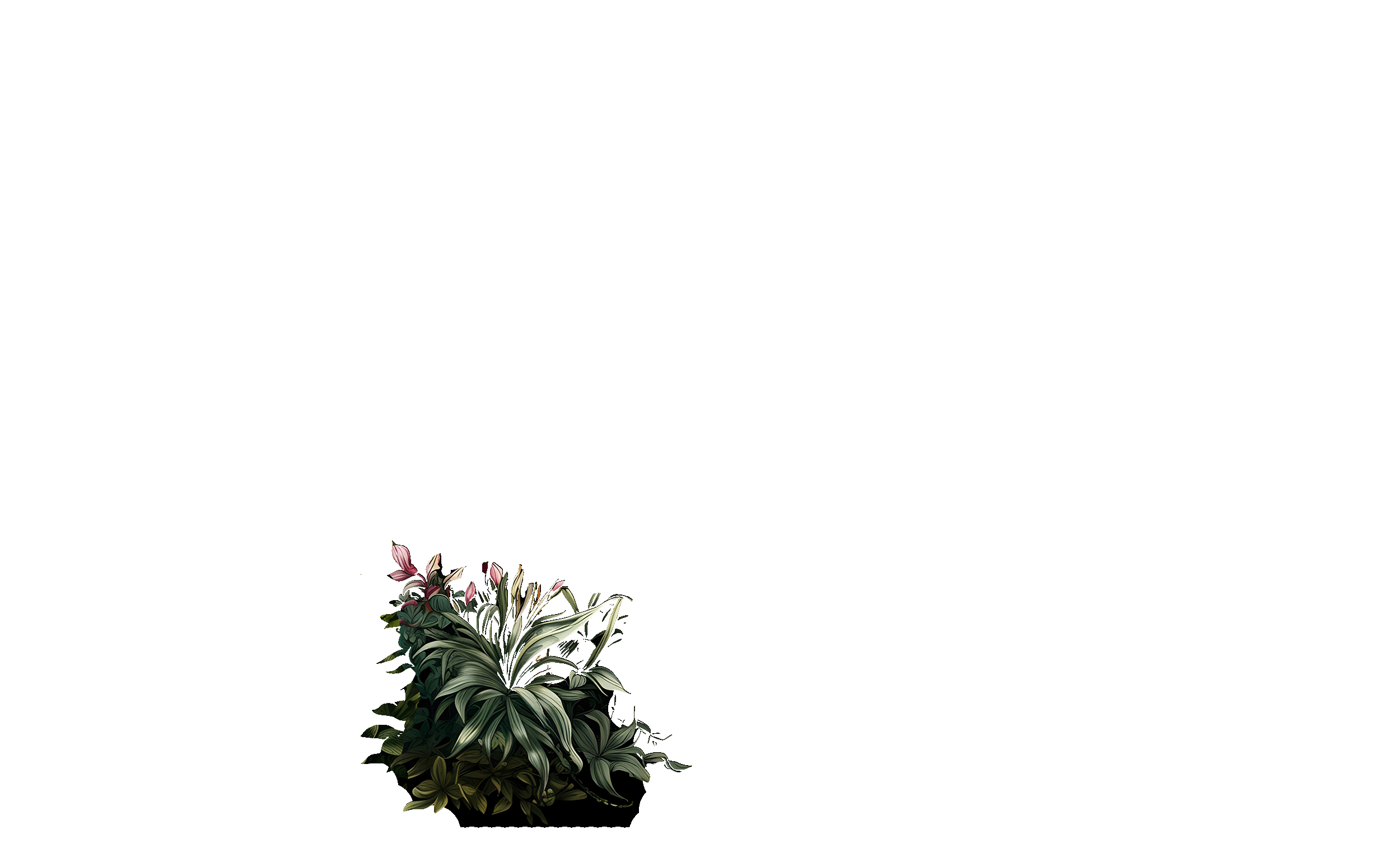 bottom-left-bush