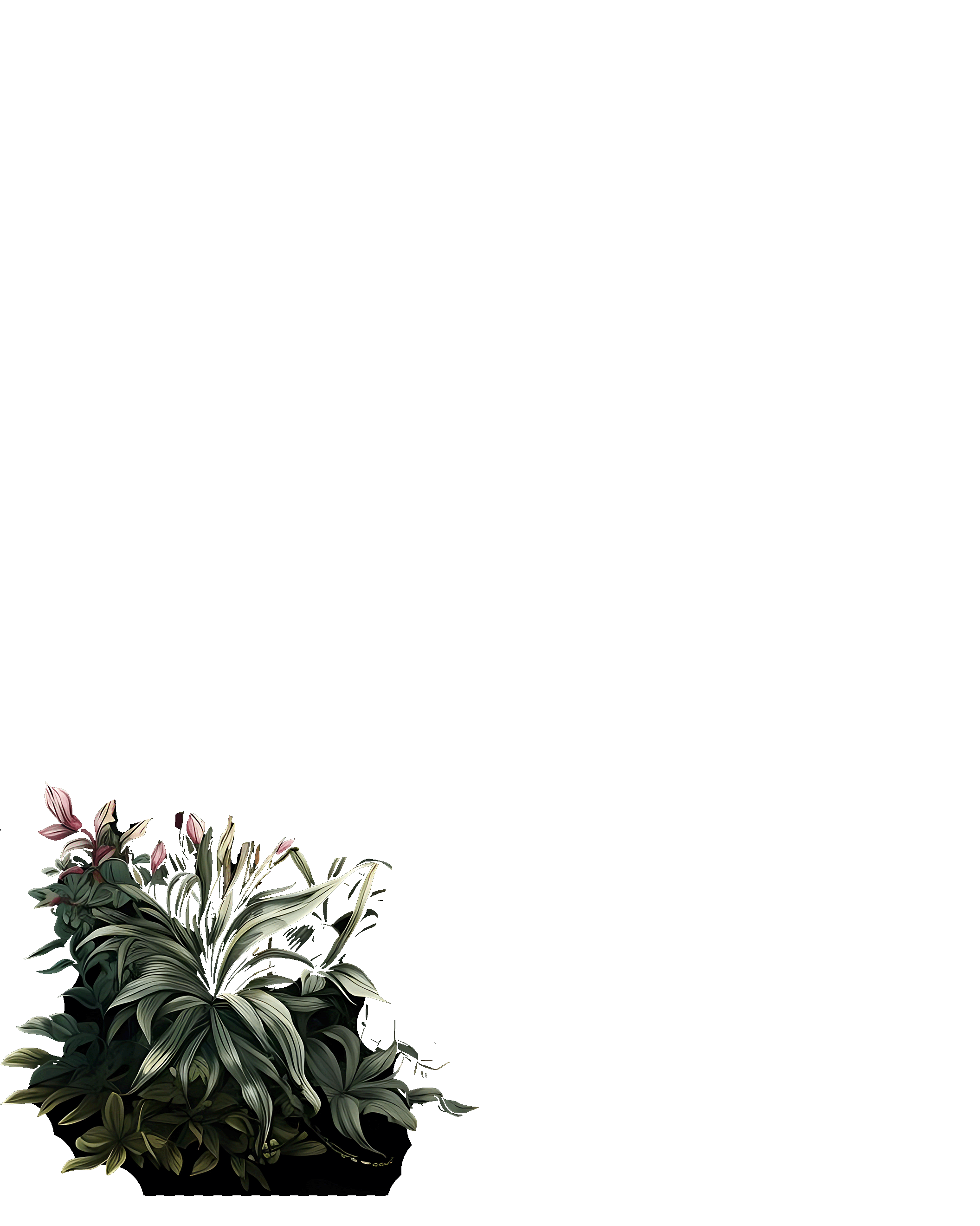 bottom-left